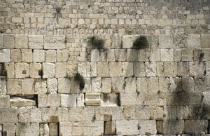 Kotel