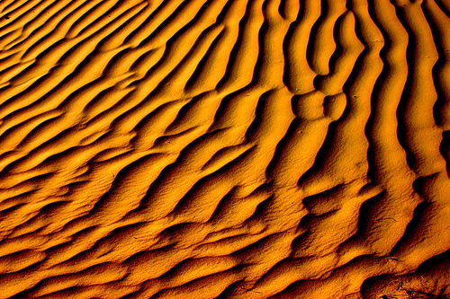 desert sand waves
