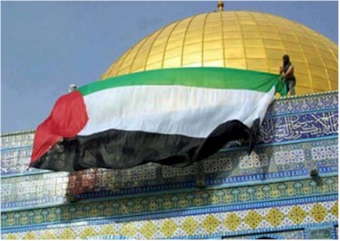 plo flags