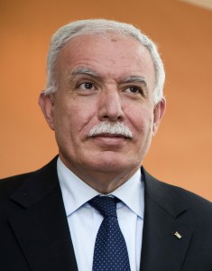 Riyad al-Maliki