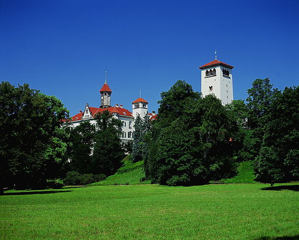 saxony waldenburg