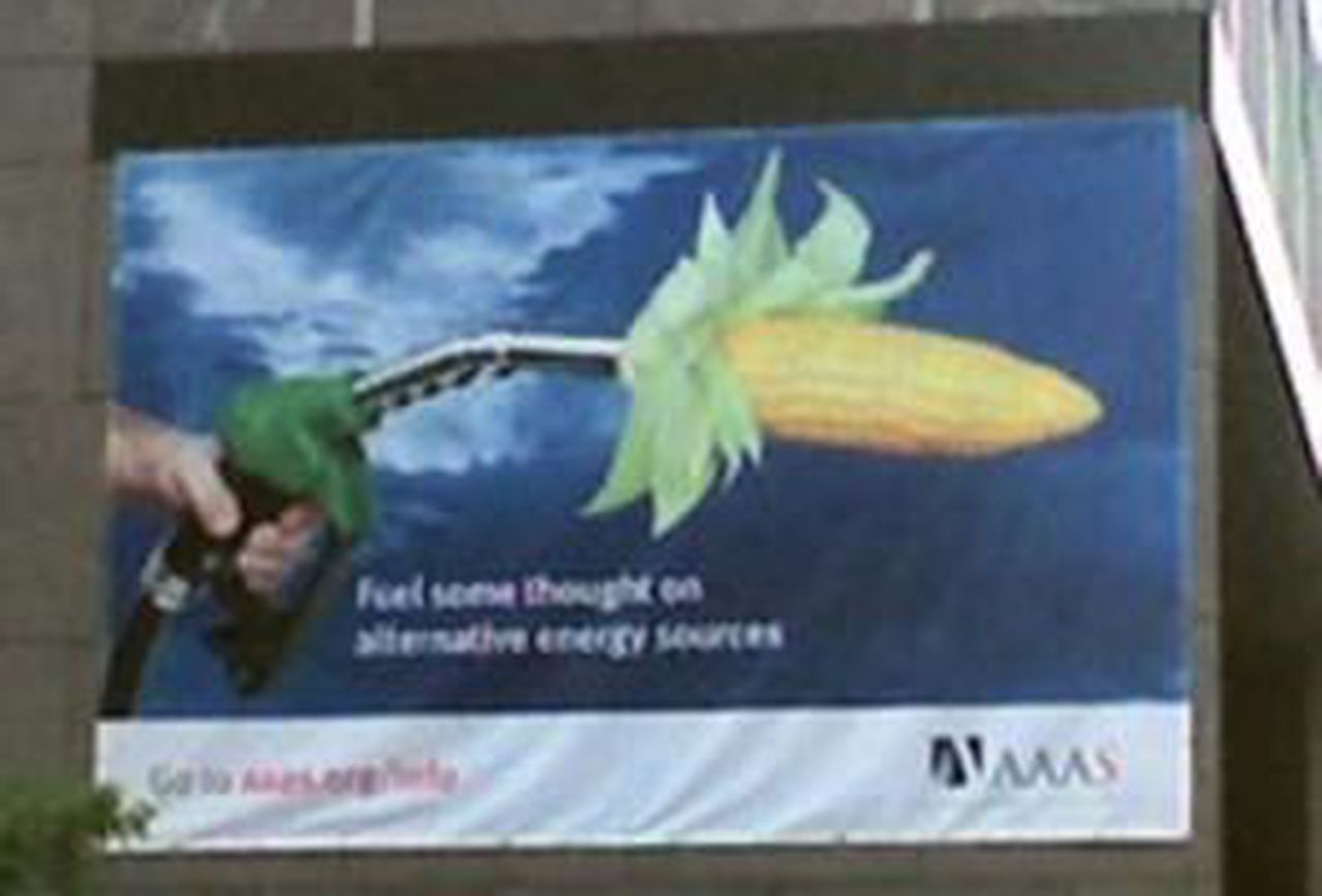 corn.aaas.bldg 