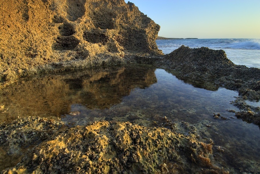 HaBonim, Israel