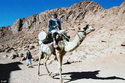 bedouin on camel